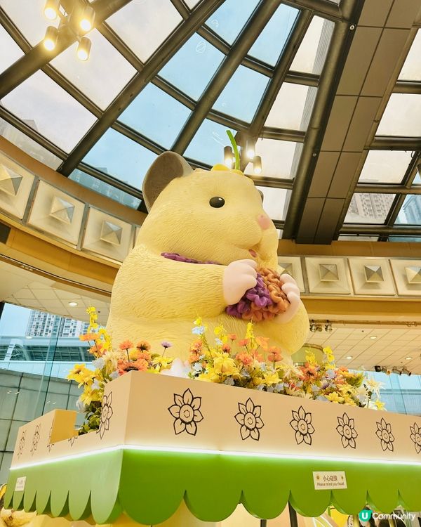 🐹 置富《 助六の日常向日葵遊樂園 》