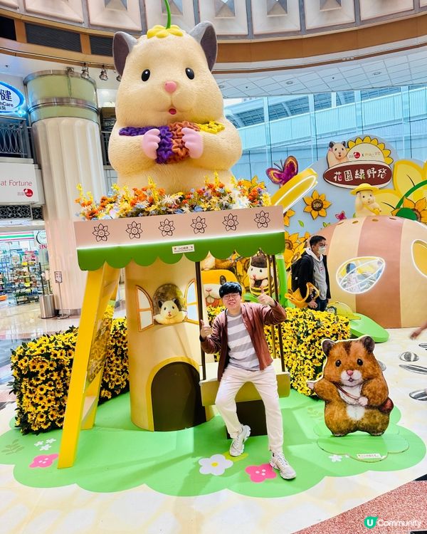 🐹 置富《 助六の日常向日葵遊樂園 》