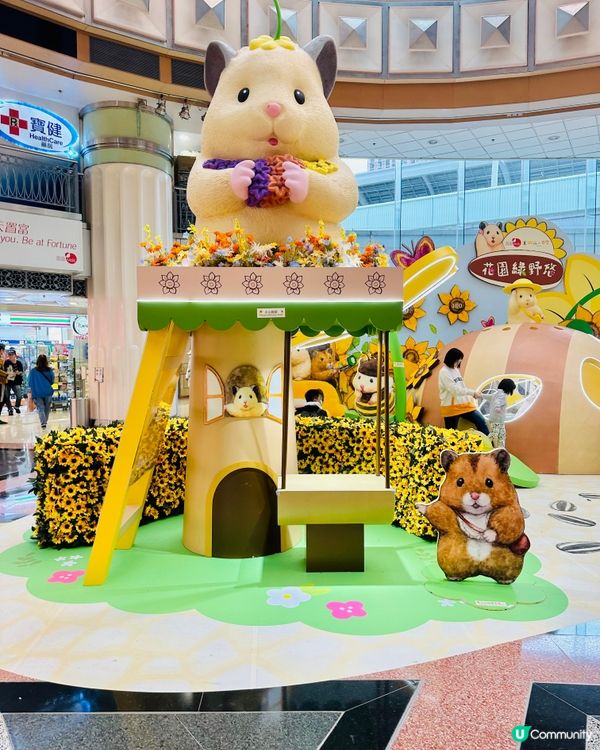 🐹 置富《 助六の日常向日葵遊樂園 》