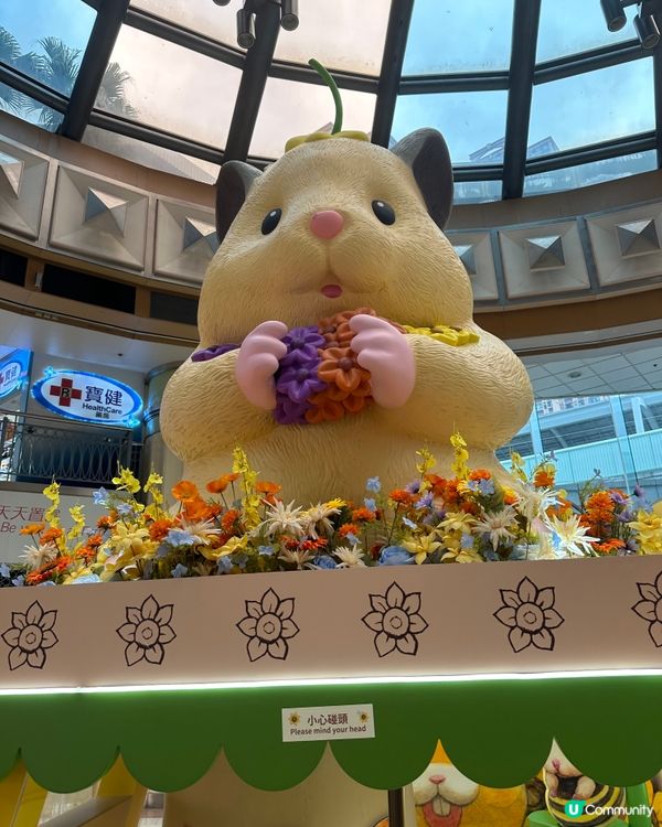 🐹 置富《 助六の日常向日葵遊樂園 》