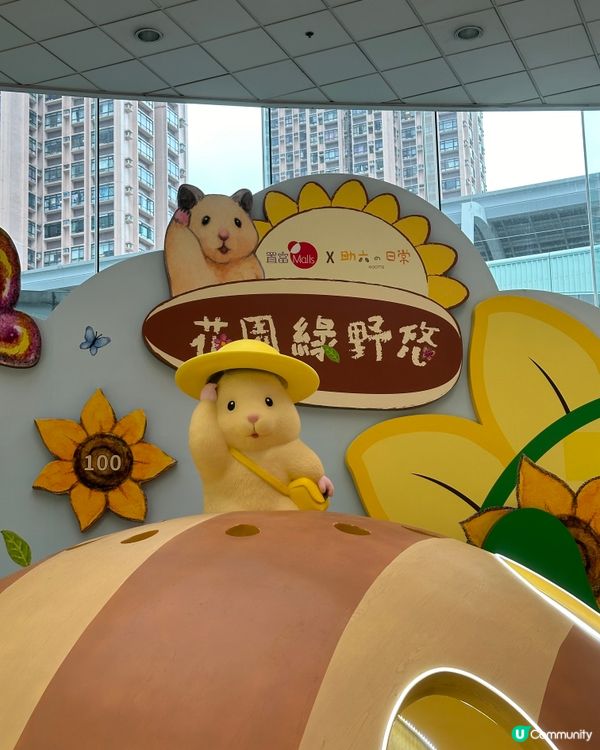 🐹 置富《 助六の日常向日葵遊樂園 》