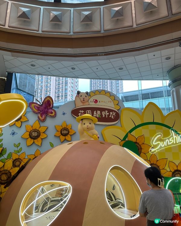 🐹 置富《 助六の日常向日葵遊樂園 》