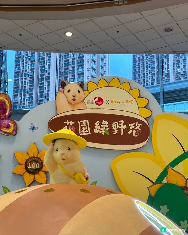 🐹 置富《 助六の日常向日葵遊樂園 》