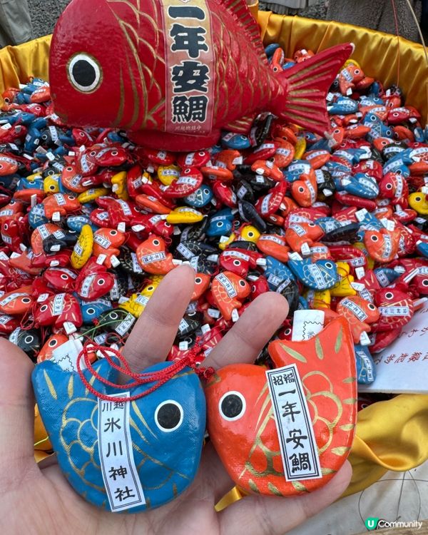 川越冰川神社釣魚