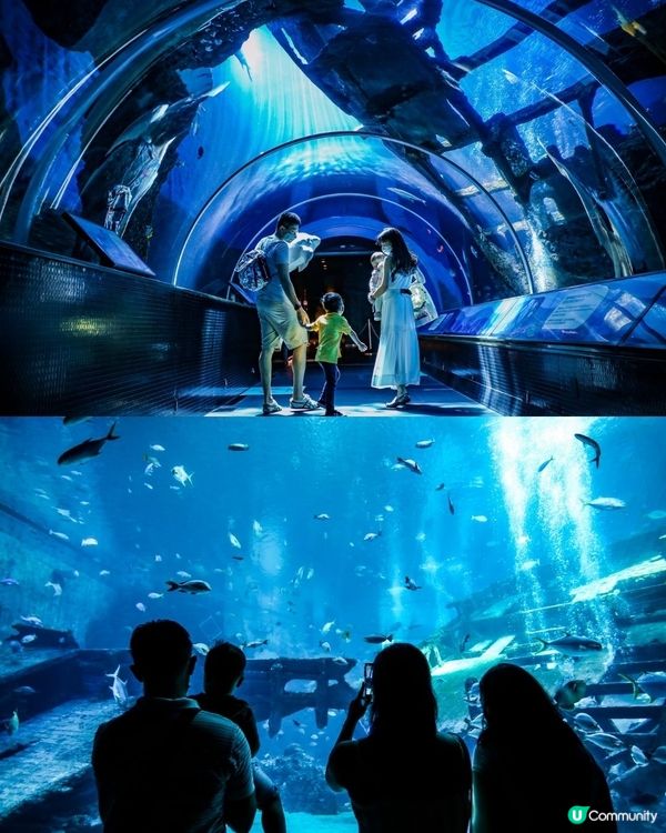 遊新加坡攻略‼️玩足4日3夜✨必去景點美食懶人包👅