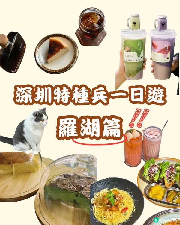 🚘 深圳特種兵一日遊 羅湖篇🌟
