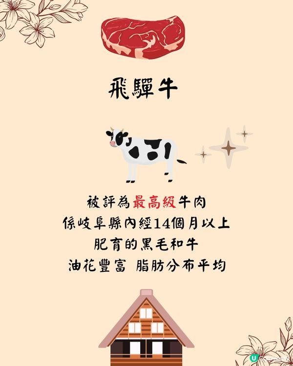 名古屋高山飛驒牛美食8選🐄附餐廳推薦👀