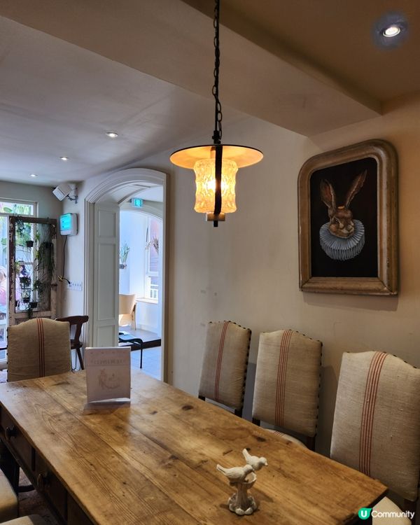 🎀韓國絕美打卡蝴蝶結 cafe🎀