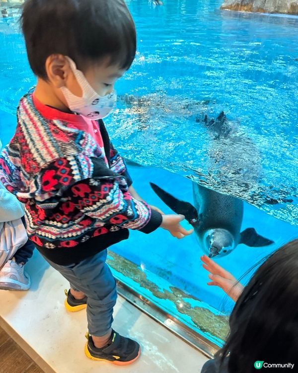 珠海親子遊👧🏻👦🏻最出名企鵝酒店🐧大玩長隆海洋王國+宇宙飛船