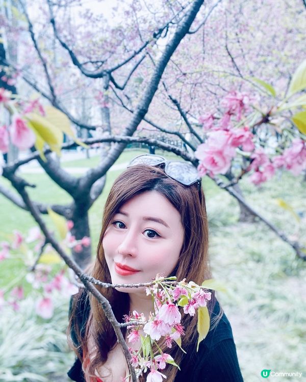 打卡櫻花、鬱金香．．賞花必去上海靜安雕塑公園