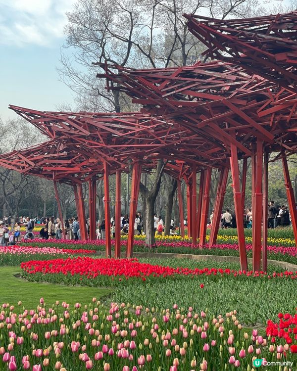 打卡櫻花、鬱金香．．賞花必去上海靜安雕塑公園