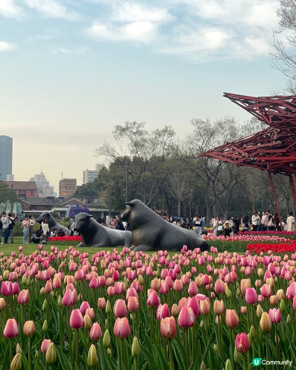 打卡櫻花、鬱金香．．賞花必去上海靜安雕塑公園