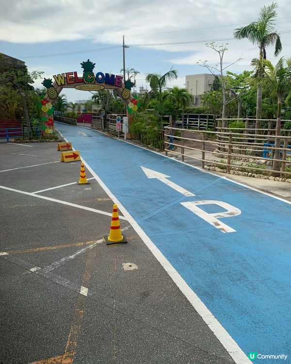 去沖繩必去鳳梨園