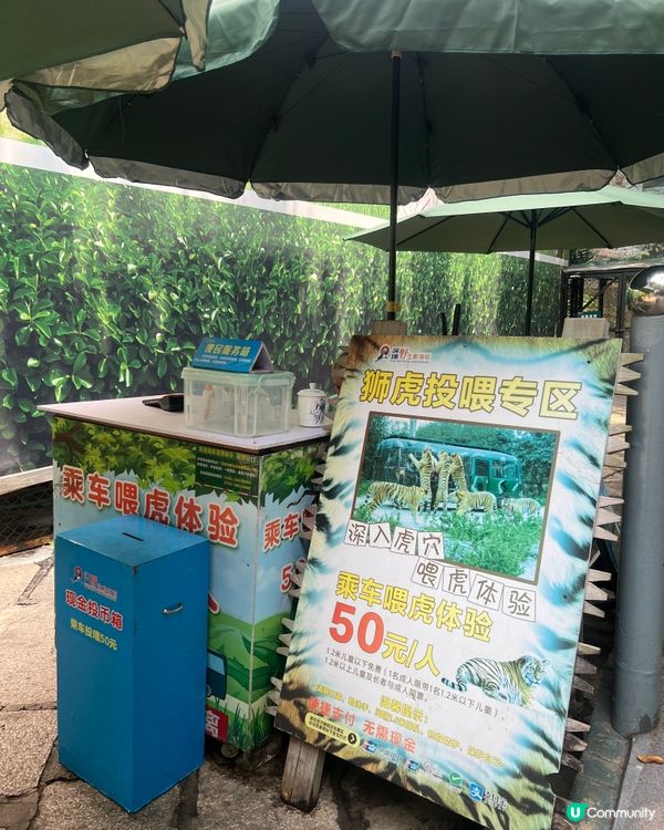 ｛深圳親子遊｝ 深圳野生動物園攻略