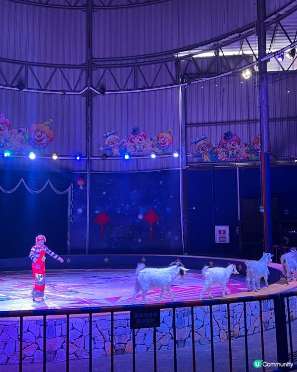 ｛深圳親子遊｝ 深圳野生動物園攻略