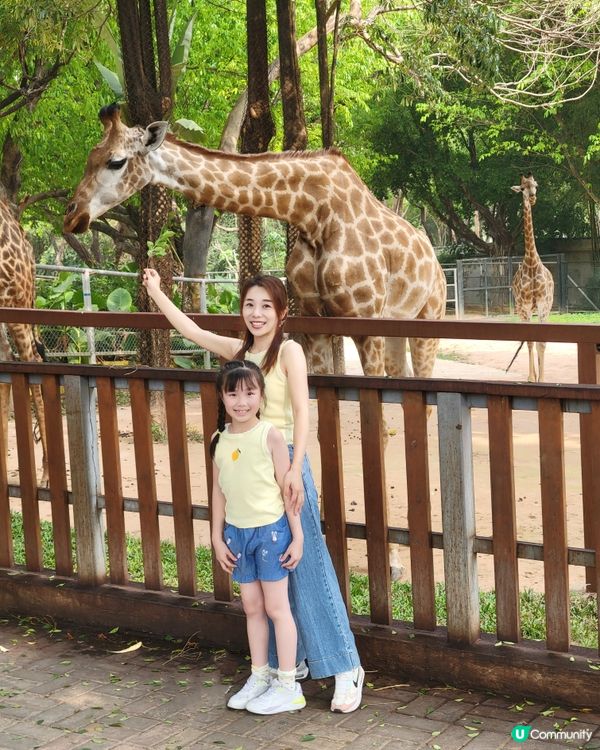 ｛深圳親子遊｝ 深圳野生動物園攻略
