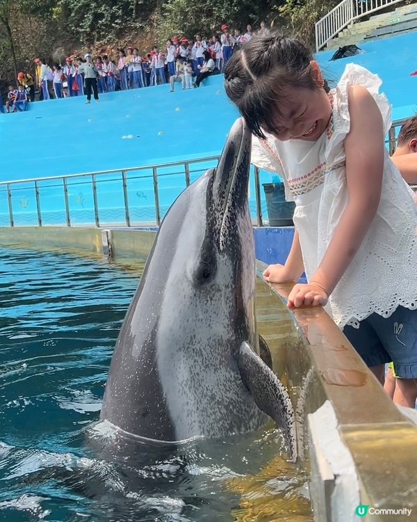 ｛深圳親子遊｝ 深圳野生動物園攻略