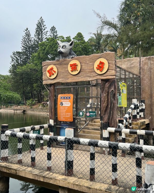 ｛深圳親子遊｝ 深圳野生動物園攻略