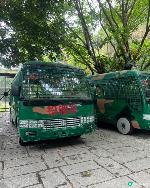 ｛深圳親子遊｝ 深圳野生動物園攻略