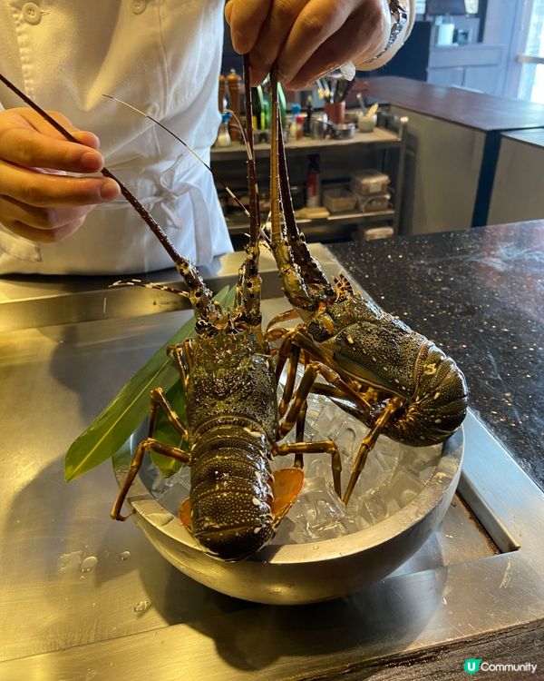 唔食包你走寶高質鐵板燒🔥🔥