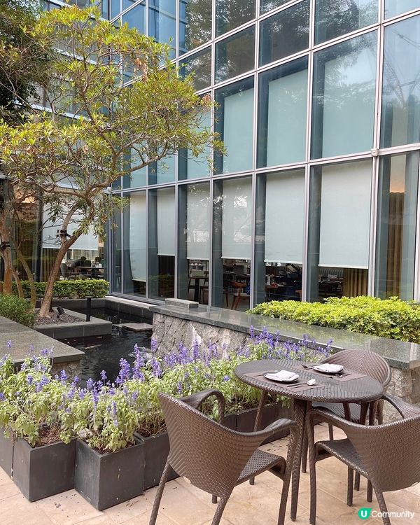 香港世外桃源打卡下午茶