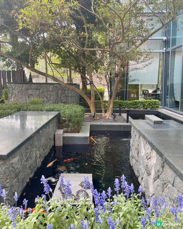 香港世外桃源打卡下午茶