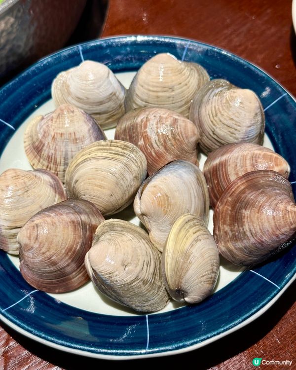 深圳美食·性價比高的貝貝鍋