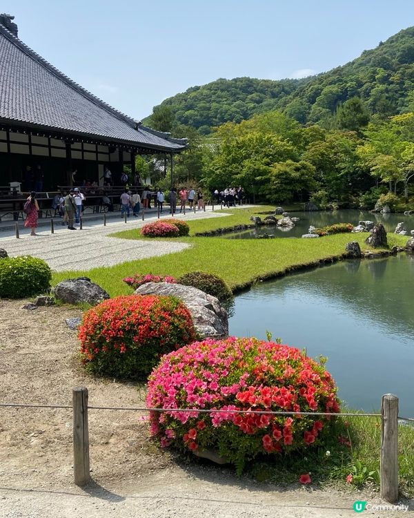 日本京都享受大自然不要再去稻荷神社了，景點背後都有一段歷史～