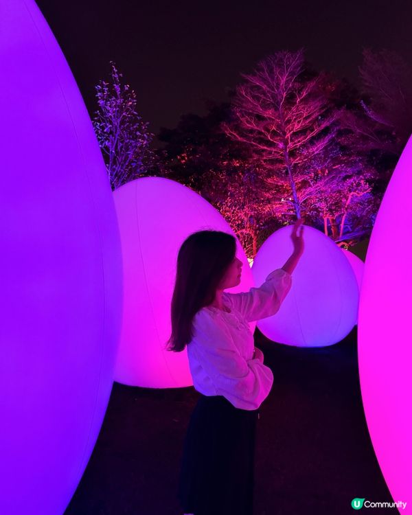 維港 teamLab: 光漣