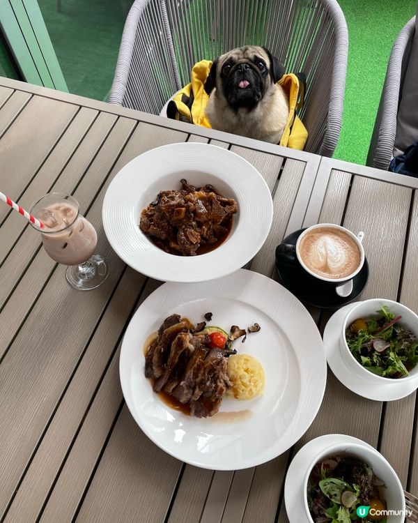 觀塘·寵物餐廳🐶有狗狗Menu