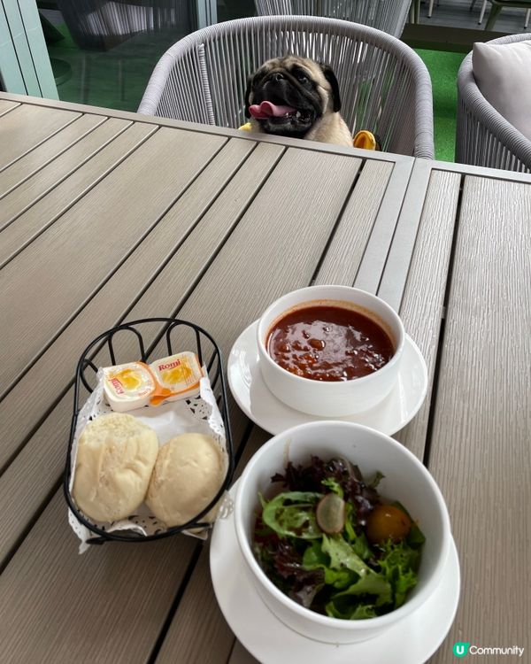 觀塘·寵物餐廳🐶有狗狗Menu