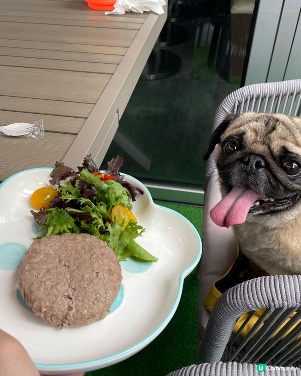 觀塘·寵物餐廳🐶有狗狗Menu