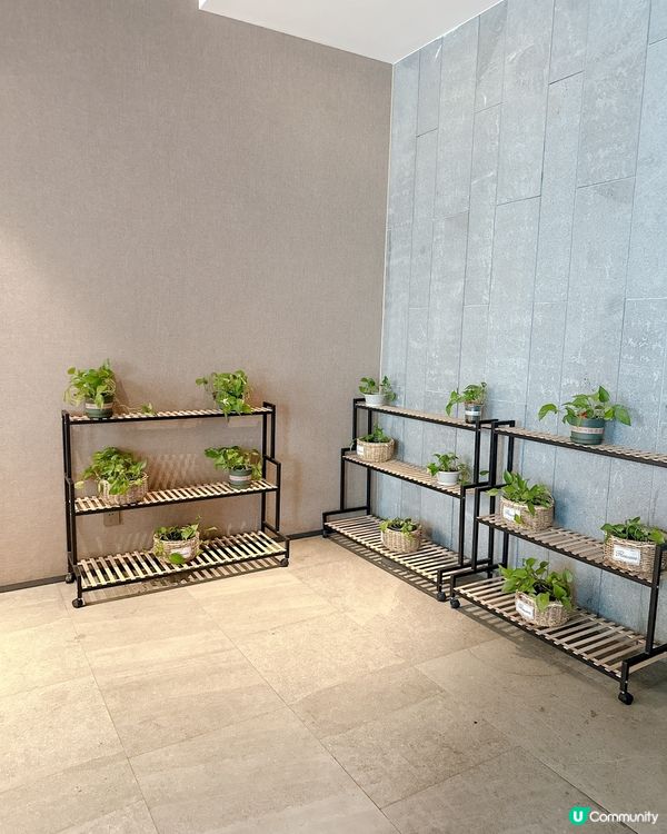 崗廈站有feel 的日式榻榻米房間