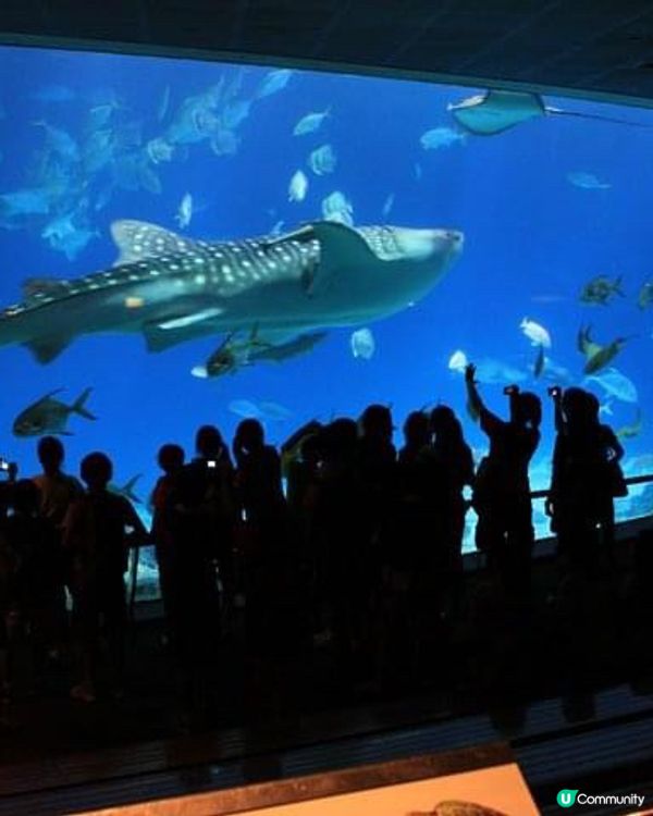 海之館：墾丁海生館