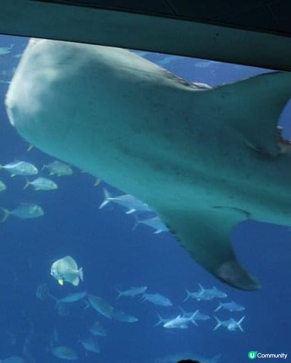 海之館：墾丁海生館