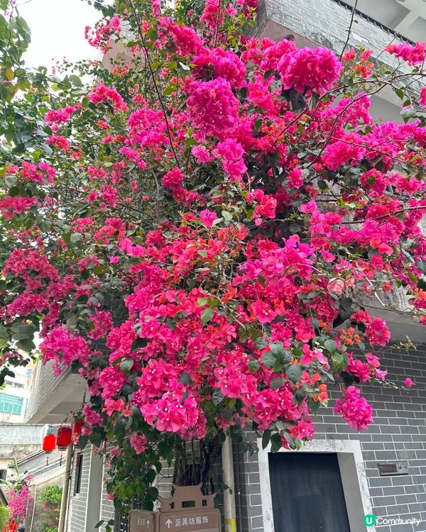 古式古香甘坑古鎮