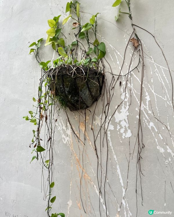 古式古香甘坑古鎮