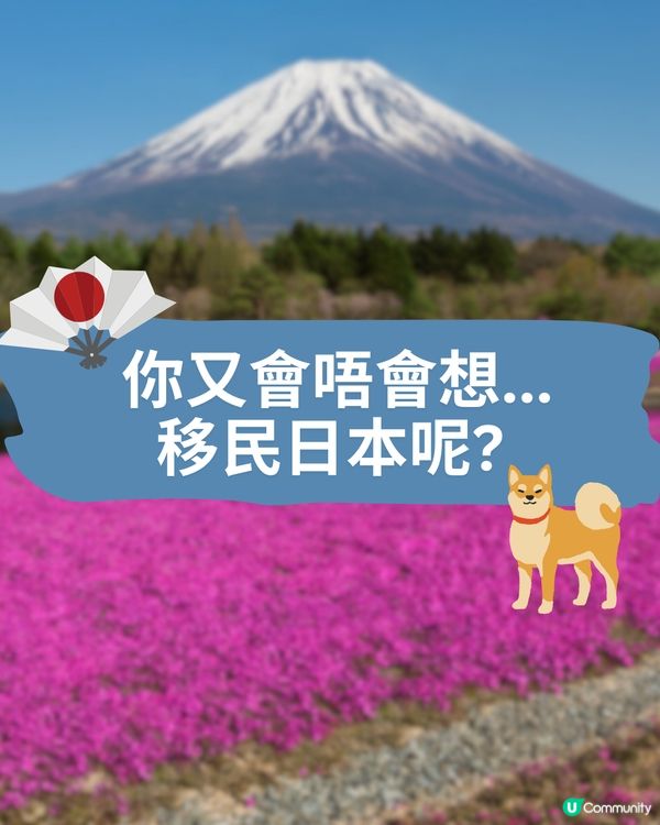 移民日本🇯🇵4大常用長居簽證+永住條件🤔不需日籍家屬/伴侶‼️