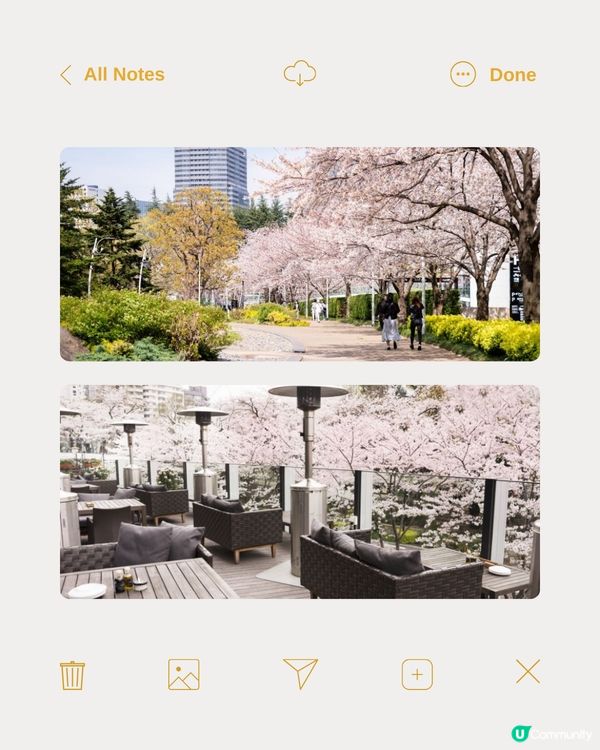 東京4月限定展覽活動‼️必去肉類祭🥩😍微型作品攝影展📸免入場