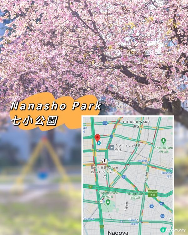 名古屋追櫻🌸 滿開櫻花攝影秘點