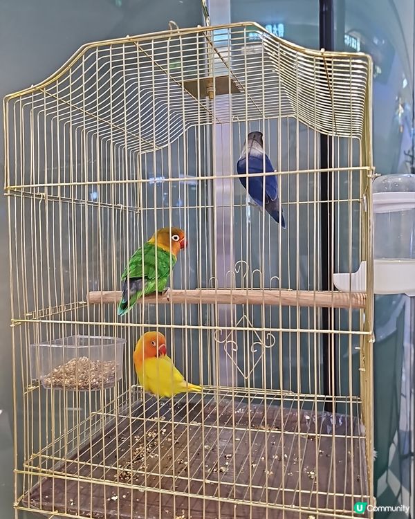 深圳龍崗萬達廣場