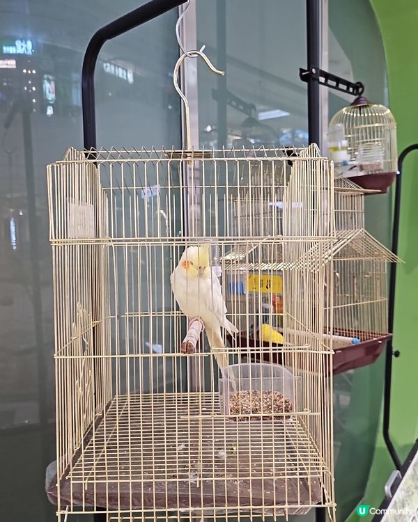 深圳龍崗萬達廣場