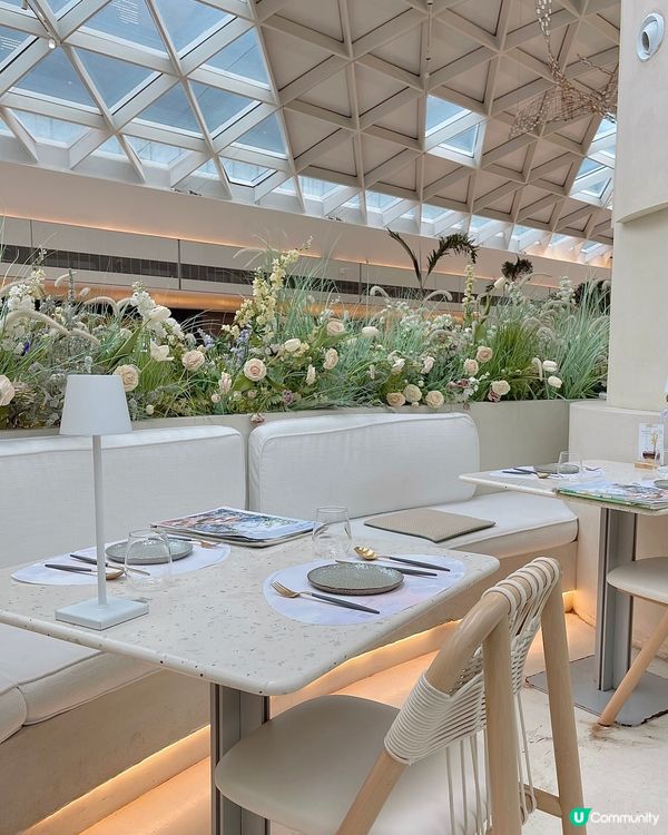 深圳打卡花花餐廳🌸