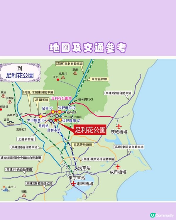 紫藤花4月東京接力盛開💜全日本唯一獲評世界10大夢幻旅遊景點