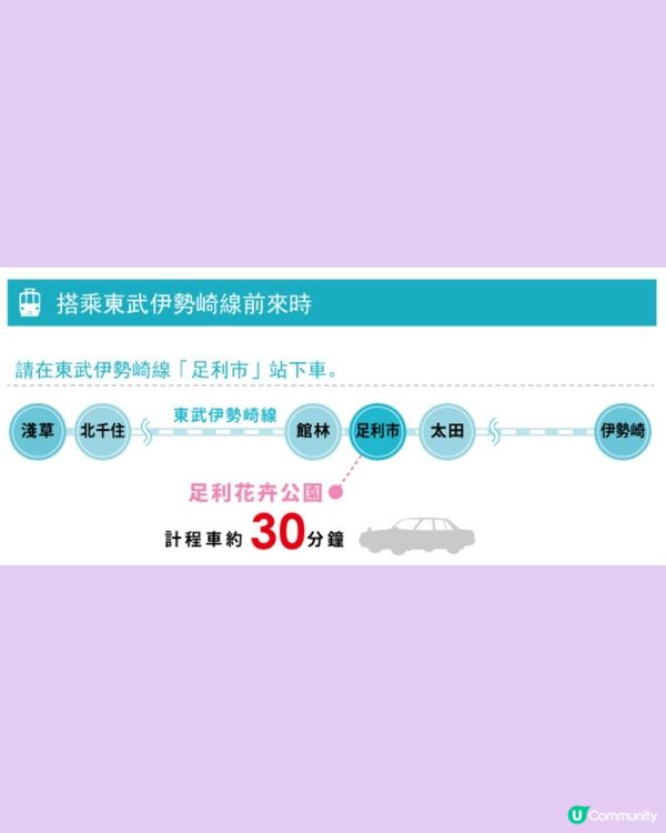 紫藤花4月東京接力盛開💜全日本唯一獲評世界10大夢幻旅遊景點