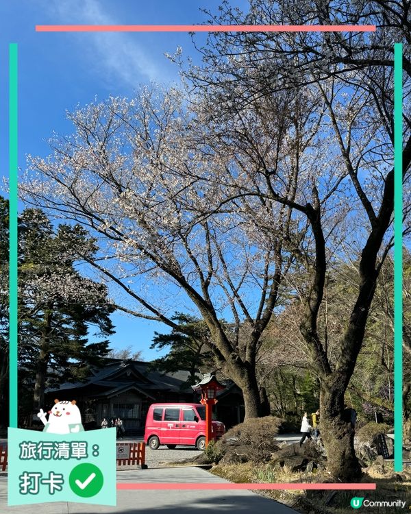 霧島神宮賞櫻🌸