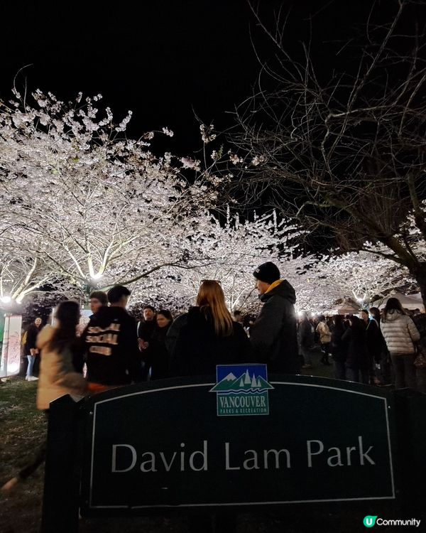 溫哥華賞櫻之旅