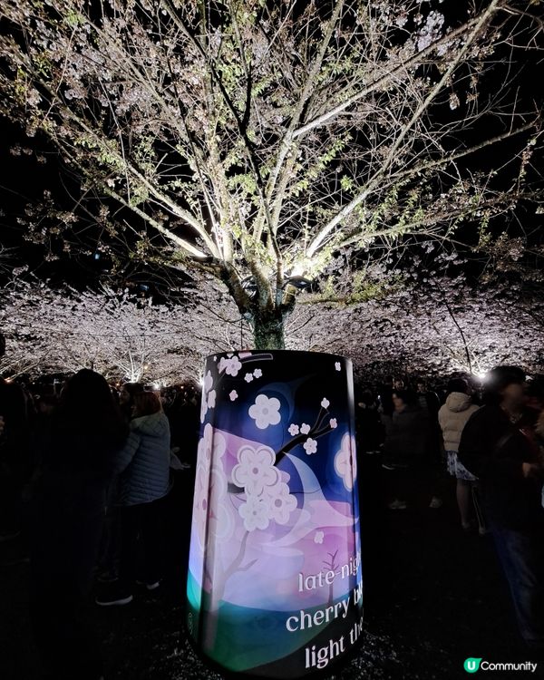 溫哥華賞櫻之旅