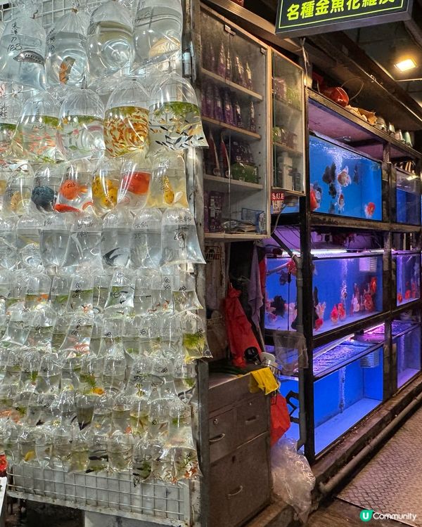 香港故事系列：金魚街