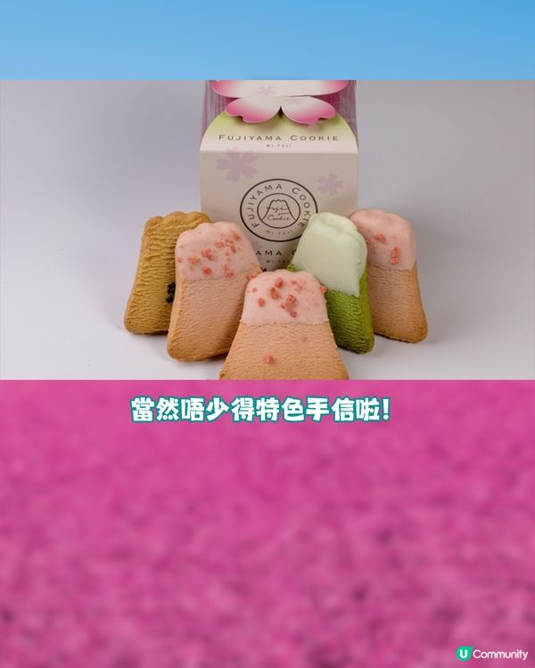 賞櫻尾班車！富士芝櫻祭開催😍50萬棵粉紅花海💗